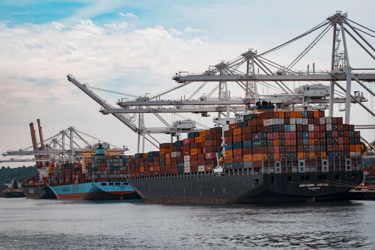 Container ships and gantry cranes at a working port